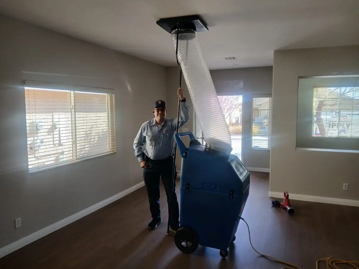 Professional Dryer Vent Cleaning work inside a Lincoln home